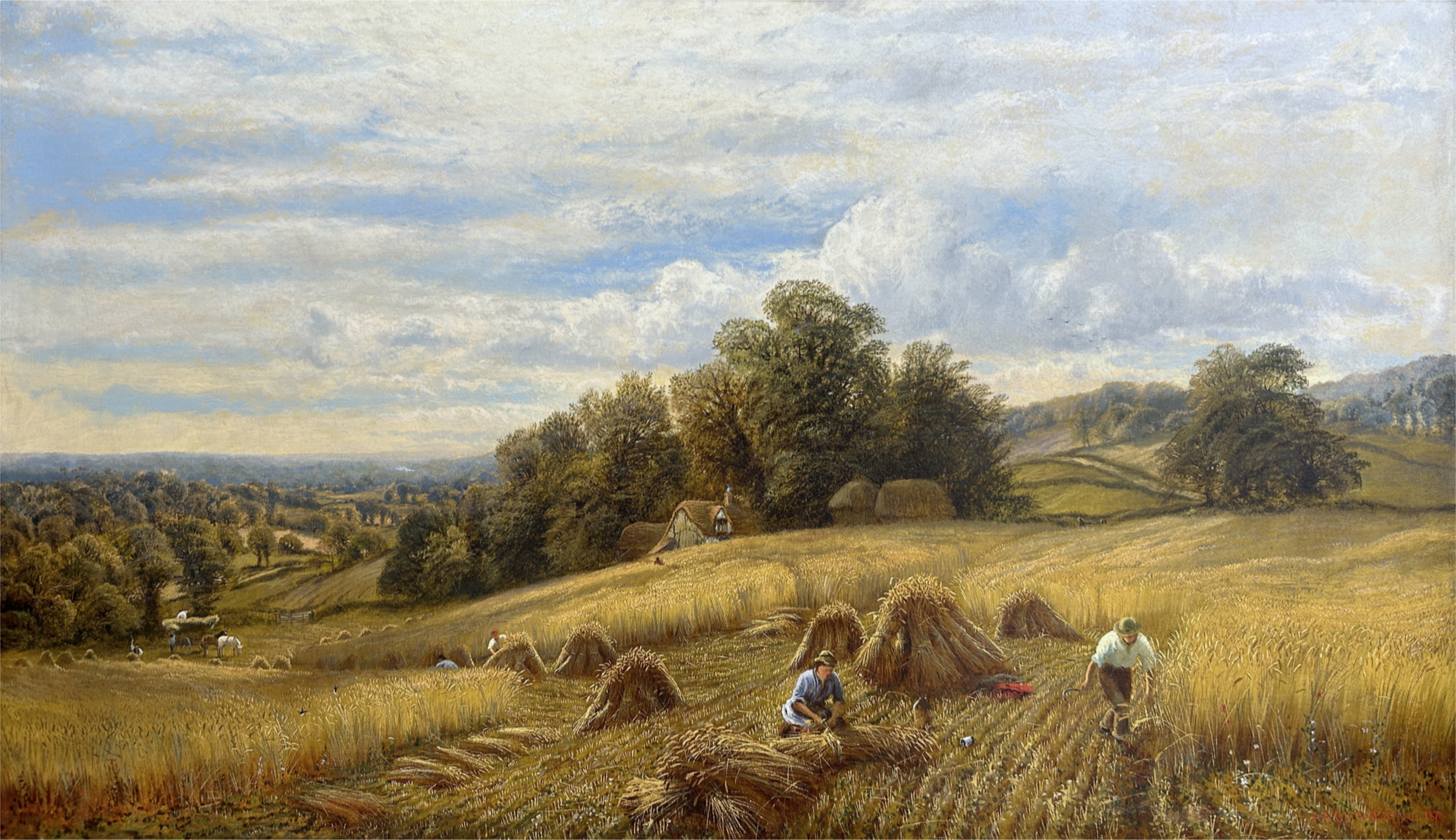 Harvest time